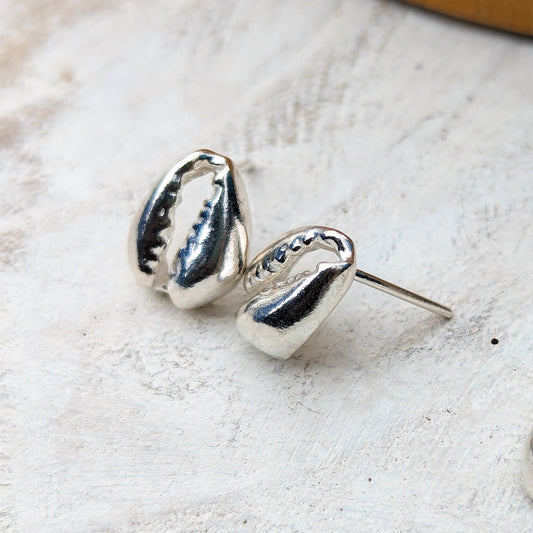 Cowrie Shell Studs