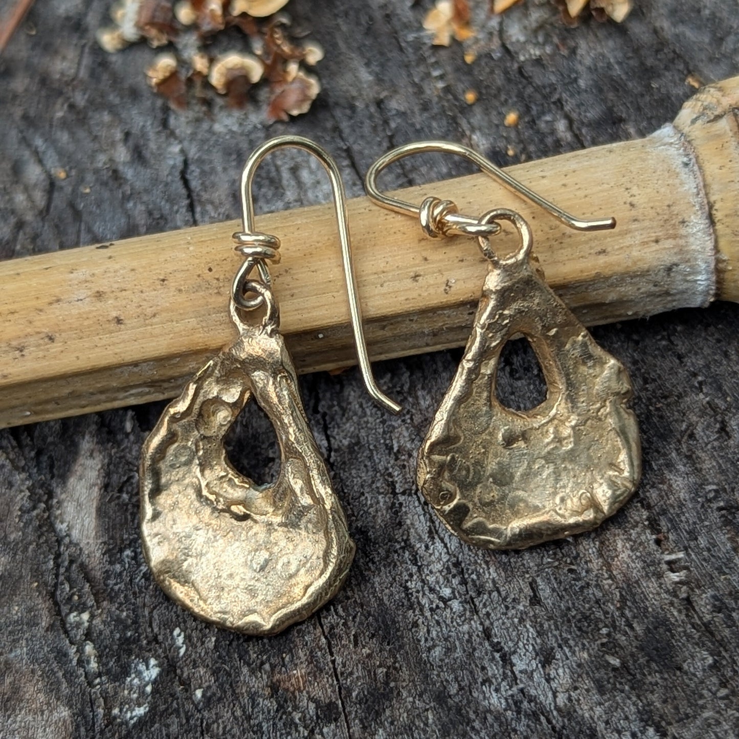 Oyster Earrings - Small Bronze