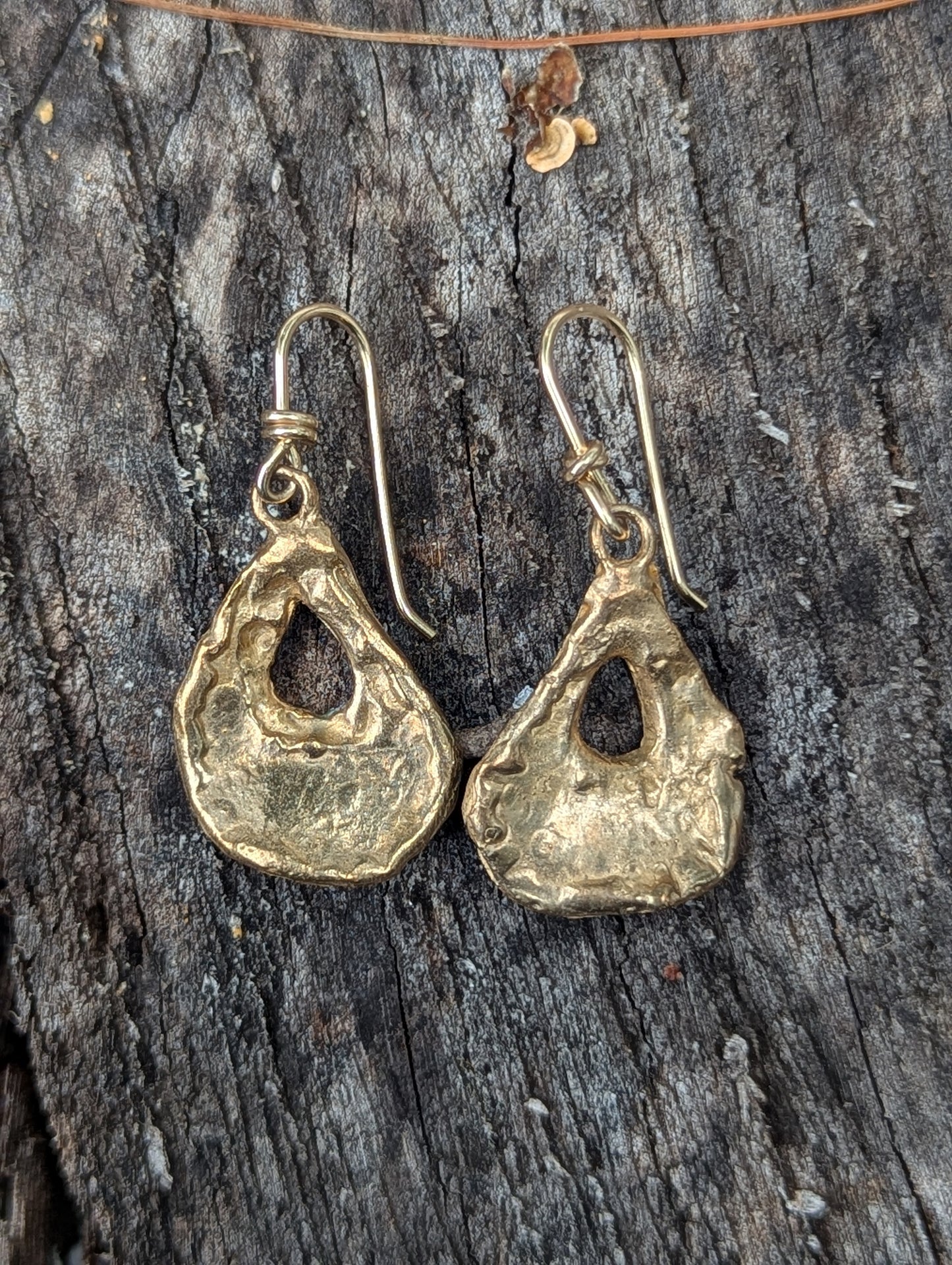 Oyster Earrings - Small Bronze