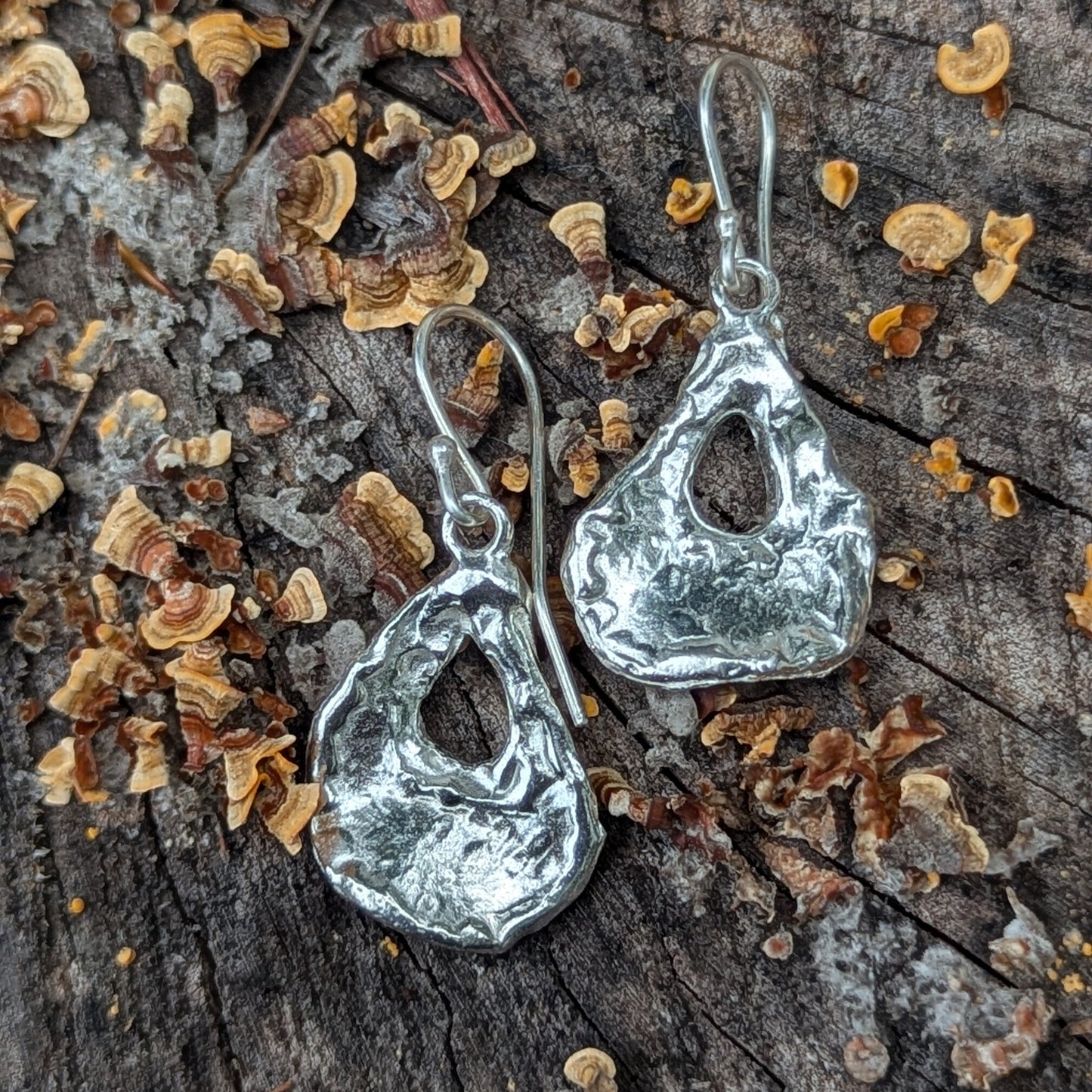 Oyster Earrings - Small Silver